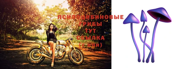 каннабис Заводоуковск